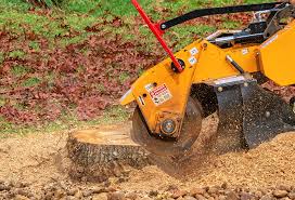 Organic Lawn Care Solutions in Siena College, NY